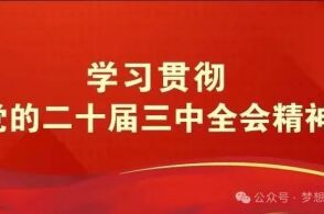 2025新奥正版资料免费提供|全面贯彻解释落实,关于提供2025新奥正版资料免费支持及全面解释落实的探讨