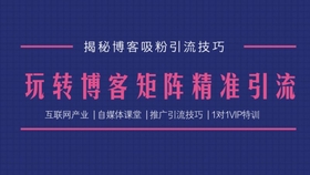 澳门彩天天免费精准资料|全面贯彻解释落实,澳门彩天天免费精准资料与全面贯彻解释落实——揭示违法犯罪问题