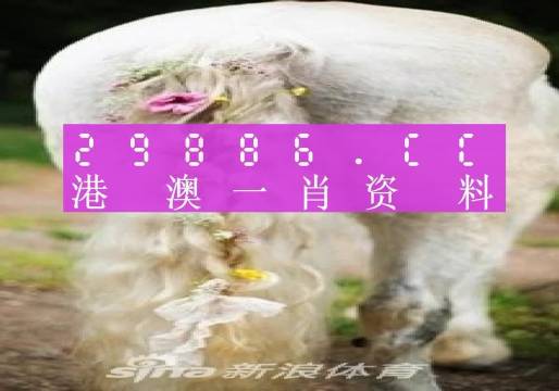 澳门火麒麟一肖一码2025|词语释义解释落实,澳门火麒麟一肖一码2025，词语释义与解释落实