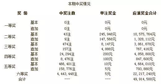 澳门独中一注精准投注|词语释义解释落实,澳门独中一注精准投注，词语释义与实际操作策略探讨