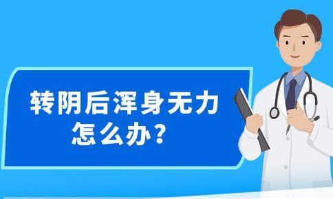 新澳精准资料免费提供大全下载|全面贯彻解释落实,新澳精准资料免费提供大全下载与全面贯彻解释落实