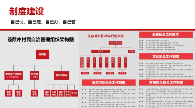 精准三期内必开一肖|精选解析解释落实,精准三期内必开一肖，深度解析与实际操作指南